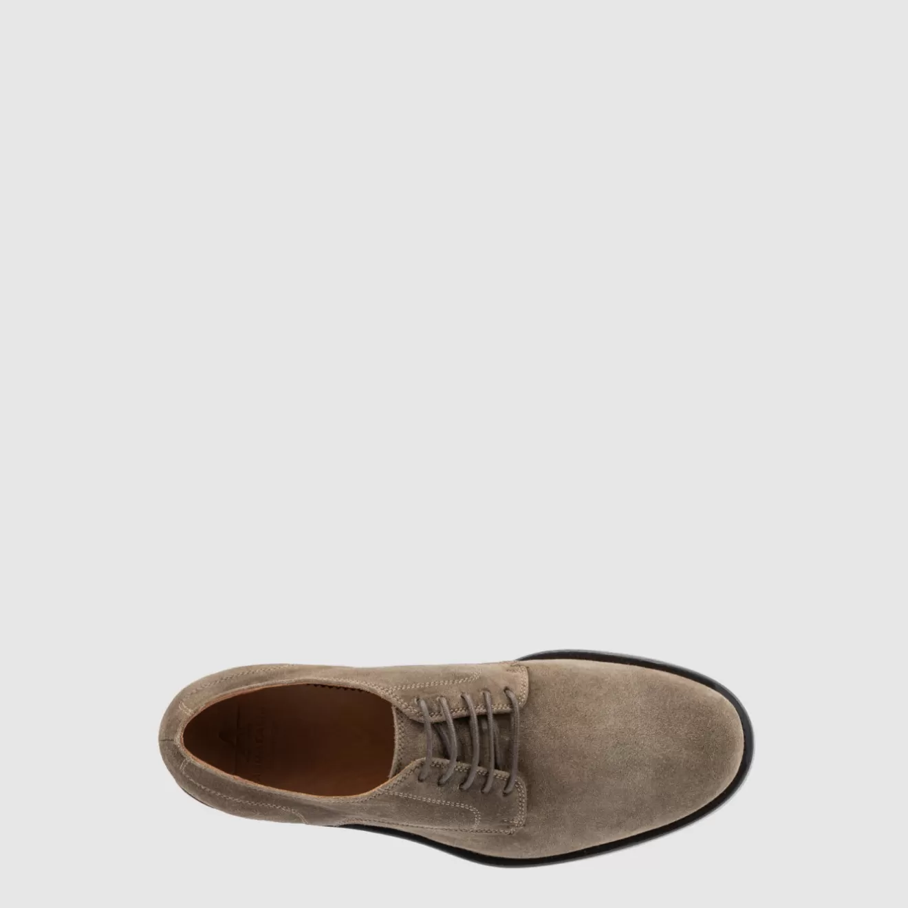 Arturo Flint by Aquatalia - Oferta Exclusiva en Calzado de Lujo ¡Ahorra Hoy!